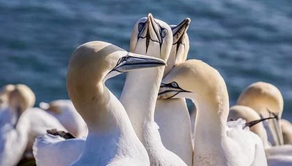 开云下载——开启极致数字体验的新方式